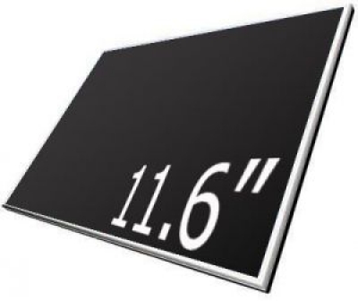    11.6