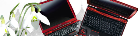 ������ �� �������� Toshiba